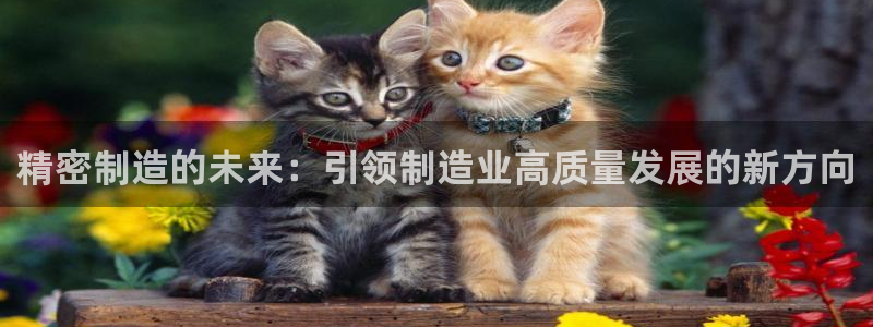 欧星娱乐是做什么的