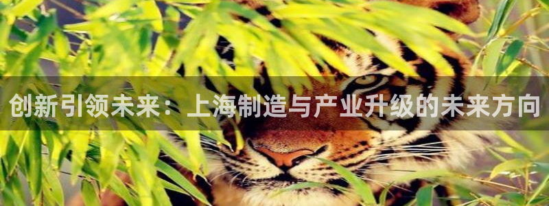 星欧娱乐官方网站首页