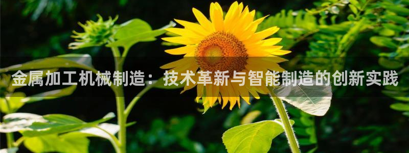 星欧娱乐平台是否安全
