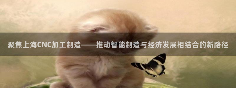 星欧娱乐官方网站客服