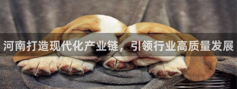 欧星娱乐 拉勾