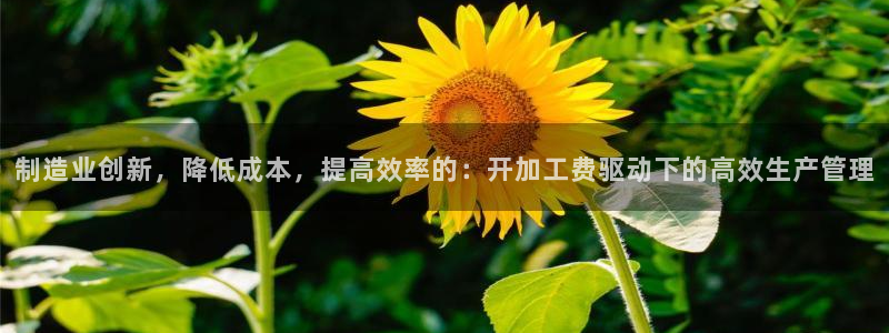 星欧娱乐注册官网
