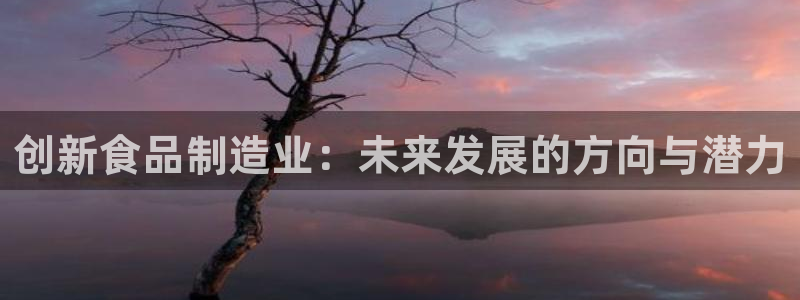 星欧娱乐公司