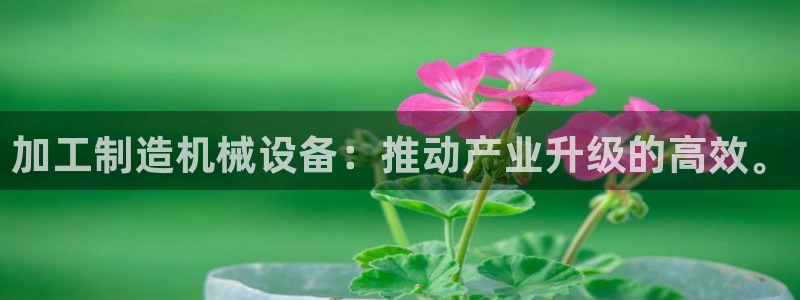 星欧娱乐最近怎么了