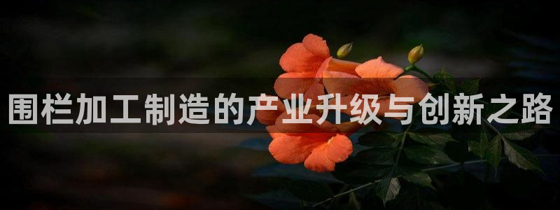 欧乐星城娱乐视频