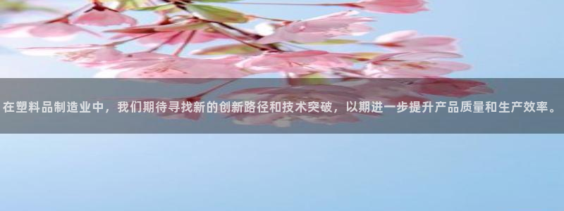 金欧岗星熠娱乐