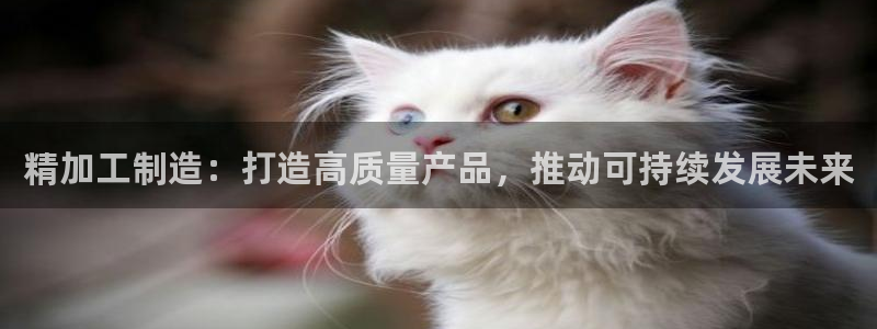 星欧娱乐改名后叫什么