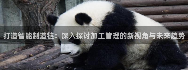 欧星科技娱乐公司