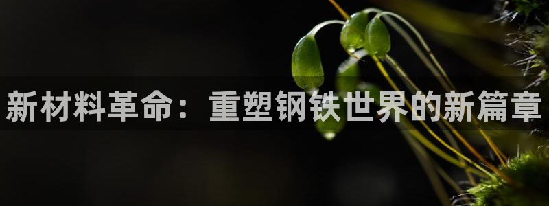 星欧娱乐扣费处理方法