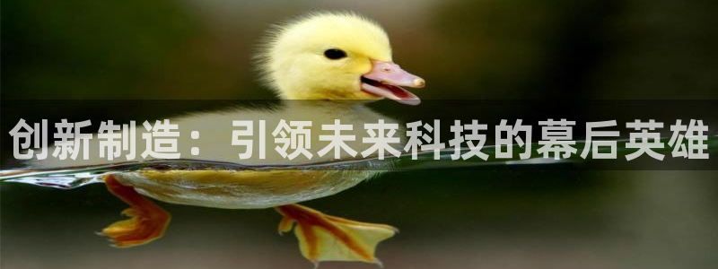 星欧娱乐官网入口手机版