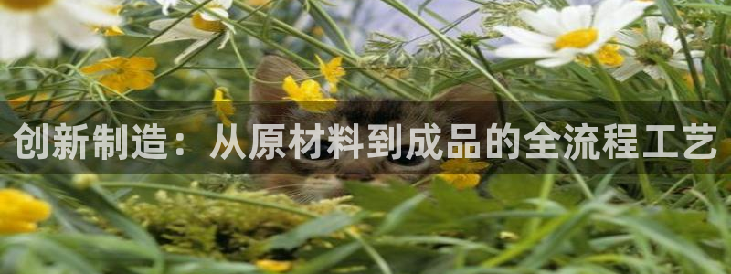 欧乐星城好玩的娱乐场所