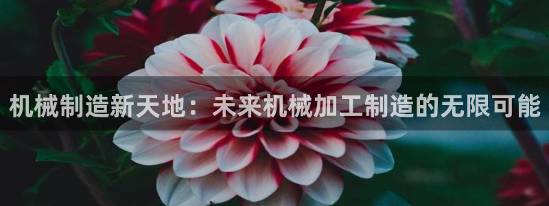 欧星娱乐备用网址