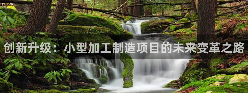 星辉娱乐进入欧联杯