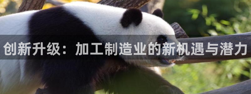 星欧娱乐官方网页版入口