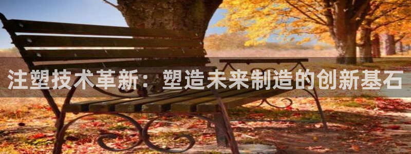 欧星娱乐的活动