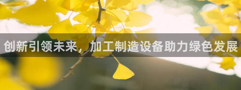 星辉娱乐西班牙人欧联