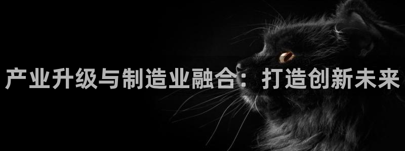 星欧娱乐客服电话