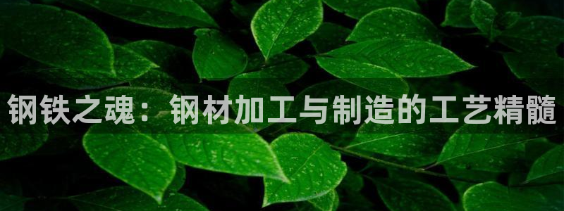 星欧娱乐的官方网站