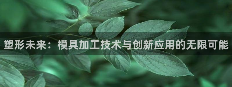 金欧岗星熠娱乐