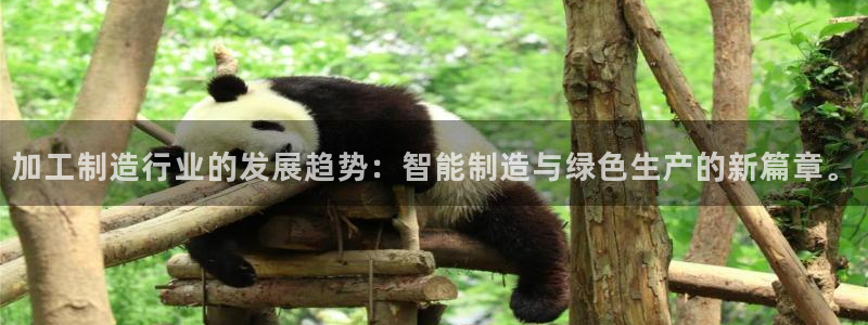 星欧娱乐官方客服