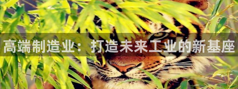 欧星娱乐怎么样