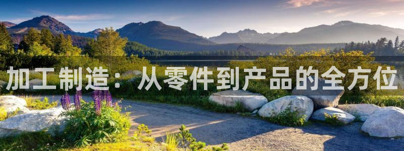 欧星科技娱乐公司