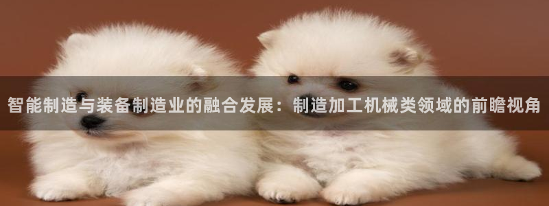 星欧娱乐平台是否安全