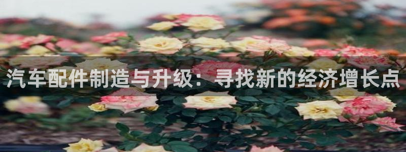 匠星娱乐政f下跪欧普软件园