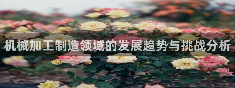 欧星娱乐怎么样