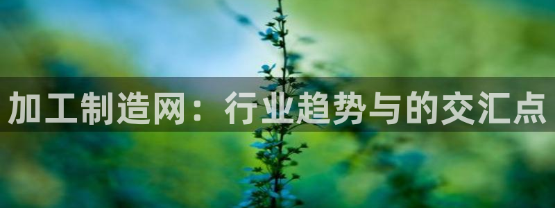 欧亿2娱乐诗星22650j