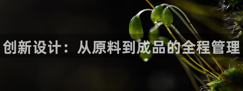 星欧娱乐是正规平台吗
