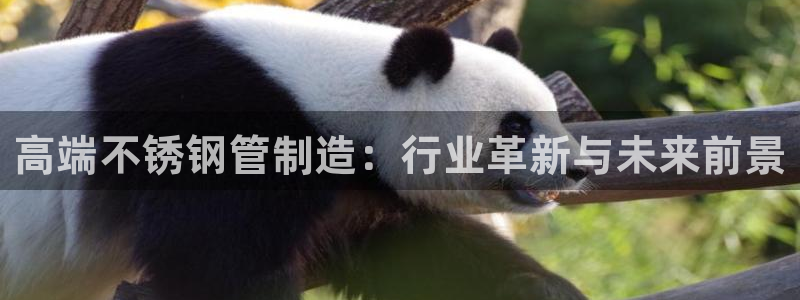 星欧娱乐登录注册