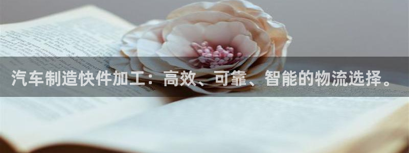 星辉娱乐进入欧联杯