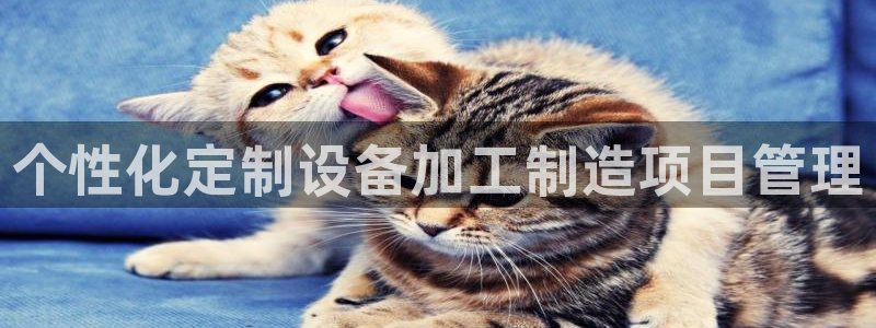 星娱乐online欧豪