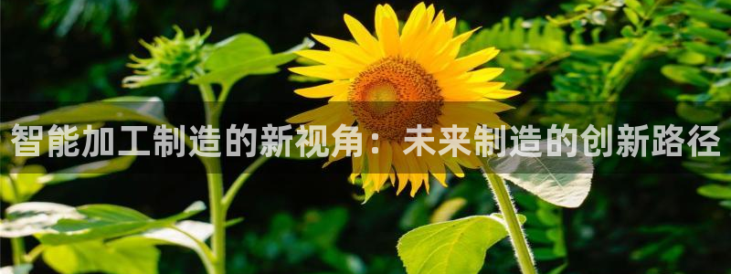 星欧娱乐最新状况