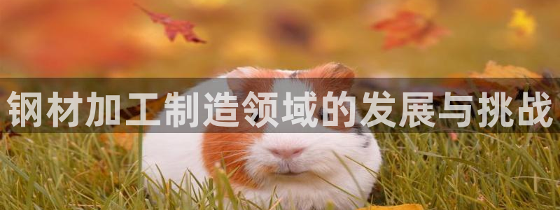 星娱乐online欧豪