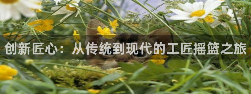 欧星娱乐网络娱乐