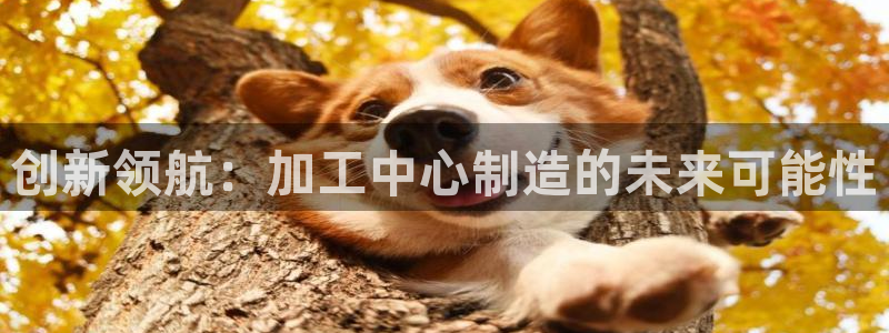 星欧娱乐官网登录