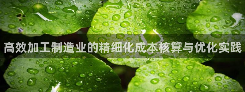 七星娱乐欧包