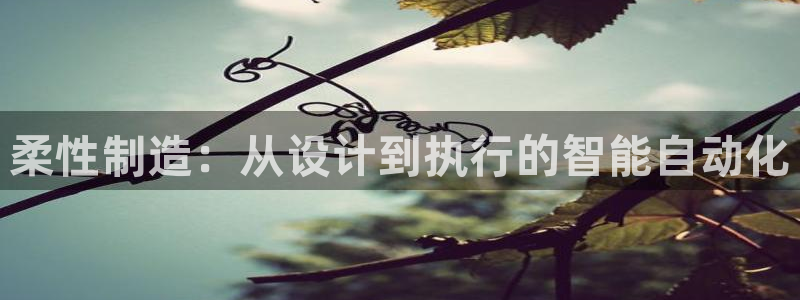 欧星娱乐棋牌官网