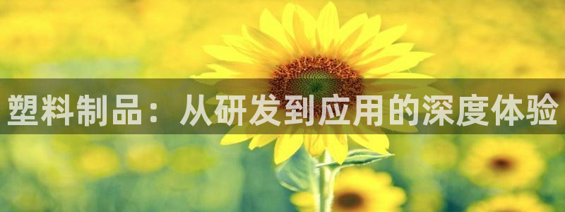 星欧娱乐最建议买吗