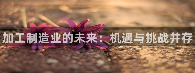 欧星娱乐城