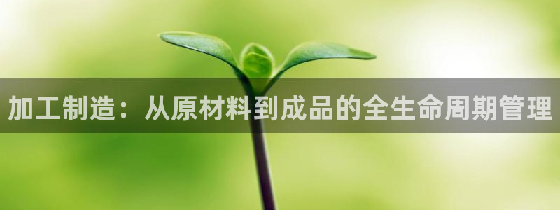 星欧娱乐最建议买吗