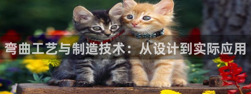 欧尼匠星娱乐