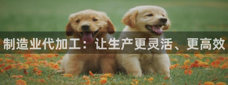 星欧娱乐平台注册入口