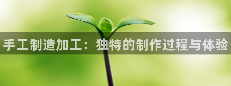 星欧娱乐下载最新版
