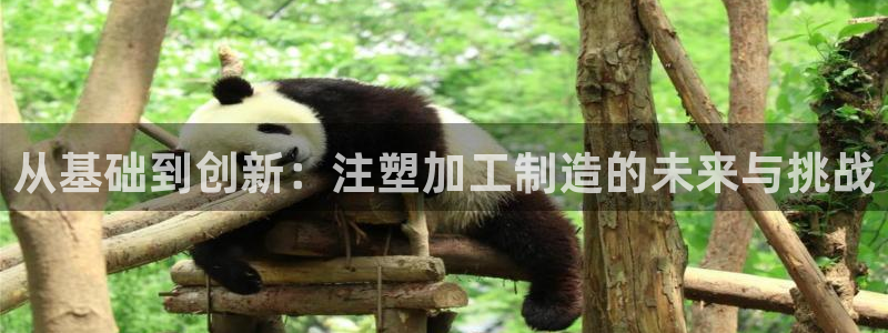 欧星娱乐平台是黑的吗